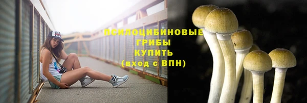 дурь Волоколамск